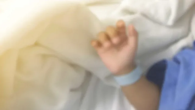 medica-veterinaria-e-atacada-por-cachorro-do-senado-e-esta-em-estado-grave-na-uti