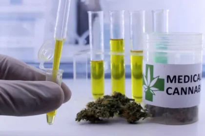 autorizacoes-para-importacao-de-cannabis-aumentam-29%-em-2026