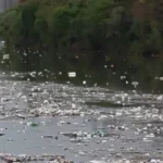 grande-volume-de-lixo-flutuando-no-rio-pinheiros-chama-atencao-apos-forte-chuva-em-sp
