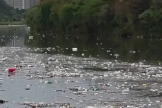 grande-volume-de-lixo-flutuando-no-rio-pinheiros-chama-atencao-apos-forte-chuva-em-sp
