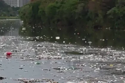 grande-volume-de-lixo-flutuando-no-rio-pinheiros-chama-atencao-apos-forte-chuva-em-sp