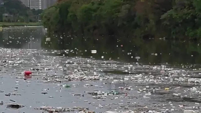 grande-volume-de-lixo-flutuando-no-rio-pinheiros-chama-atencao-apos-forte-chuva-em-sp