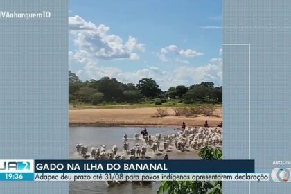 -to-de-20-de-agosto-de