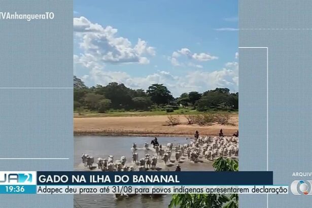 -to-de-20-de-agosto-de