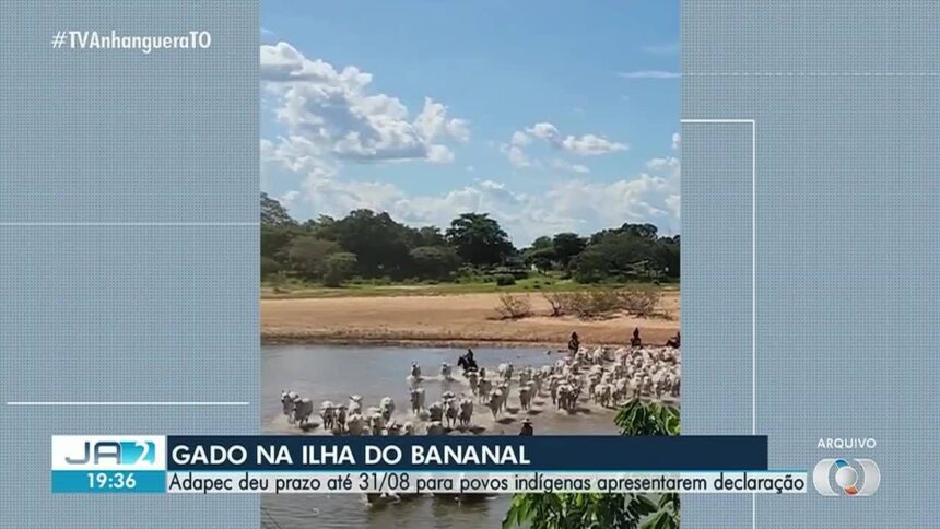 -to-de-20-de-agosto-de
