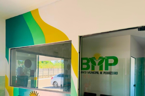 entenda-como-vai-funcionar-a-moeda-‘pequi’-lancada-por-cidade-no-to