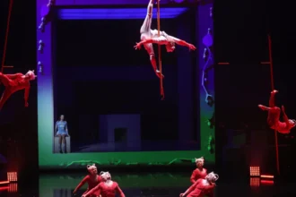 acrobata-processa-cirque-du-soleil-em-us$-16-milhoes-apos-queda-em-espetaculo