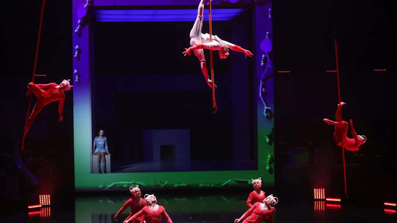 acrobata-processa-cirque-du-soleil-em-us$-16-milhoes-apos-queda-em-espetaculo