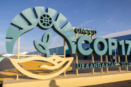 estados-do-nordeste-tentam-atrair-investimentos-para-caatinga-na-cop17