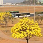 centro-oeste-tem-tres-alertas-ativos-para-chuvas-e-baixa-umidade