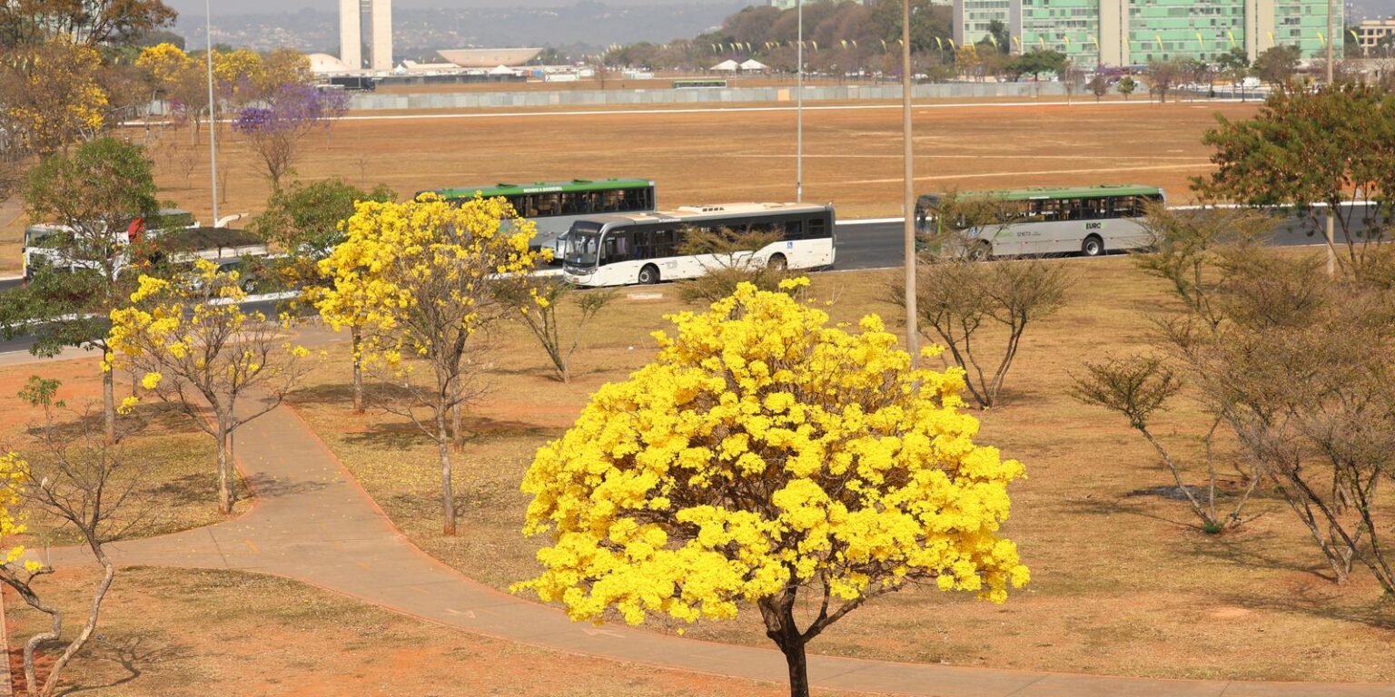 centro-oeste-tem-tres-alertas-ativos-para-chuvas-e-baixa-umidade