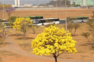 centro-oeste-tem-tres-alertas-ativos-para-chuvas-e-baixa-umidade