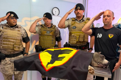 cao-da-pm-que-ajudou-a-apreender-mais-de-3-toneladas-de-drogas-recebe-homenagem-apos-morrer-no-to