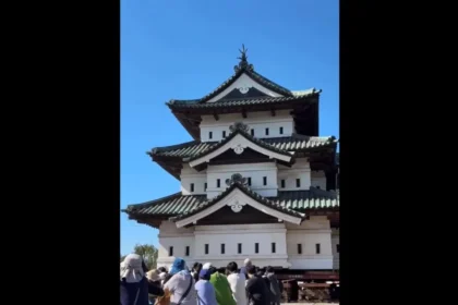 1.800-pessoas-puxam-castelo-de-360-toneladas-de-volta-ao-lugar-no-japao