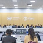 cop17-caminha-para-novo-adiamento-de-acordo-de-combate-as-secas