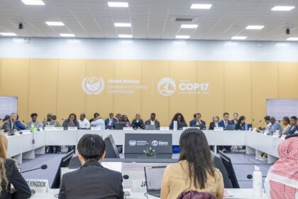 cop17-caminha-para-novo-adiamento-de-acordo-de-combate-as-secas
