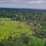 imazon-aponta-desmatamento-zero-em-60%-de-terras-indigenas-na-amazonia