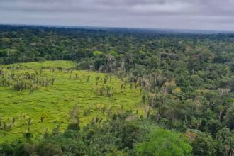 imazon-aponta-desmatamento-zero-em-60%-de-terras-indigenas-na-amazonia