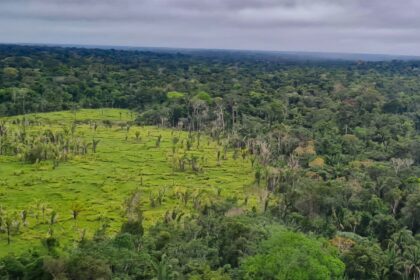 imazon-aponta-desmatamento-zero-em-60%-de-terras-indigenas-na-amazonia