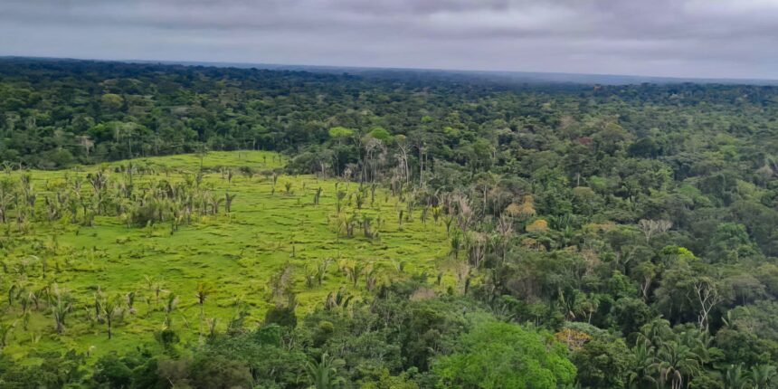imazon-aponta-desmatamento-zero-em-60%-de-terras-indigenas-na-amazonia