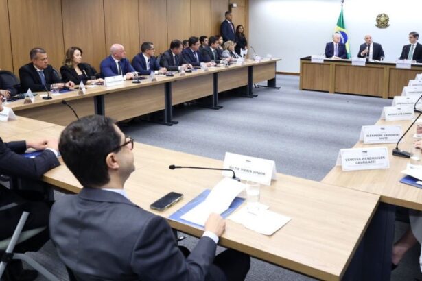 pgj-do-tocantins-participa-de-reuniao-no-stf-sobre-enfrentamento-ao-crime-organizado