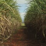 conselho-eleva-limite-de-remuneracao-do-eco-invest-brasil