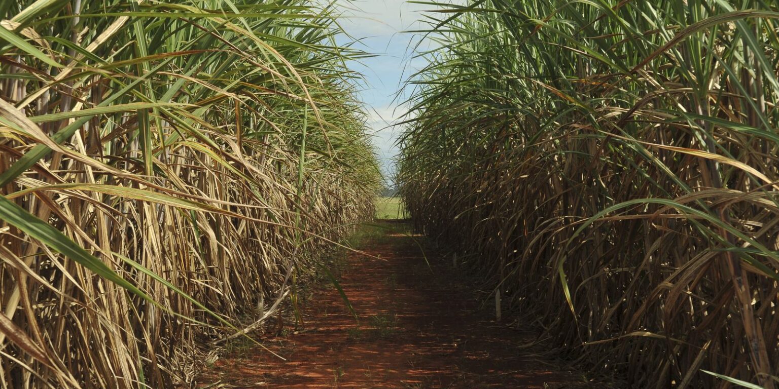 conselho-eleva-limite-de-remuneracao-do-eco-invest-brasil