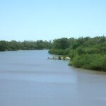 mpto-obtem-decisao-que-anula-autorizacoes-de-desmatamento-na-bacia-do-rio-formoso