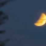 assistiu-ao-eclipse-lunar?-veja-as-imagens-do-ultimo-de-2026