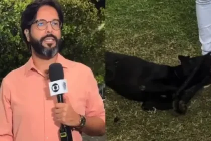 cachorro-perdido-invade-reportagem-ao-vivo-da-globo-e-e-reconhecido-e-resgatado-por-tutora