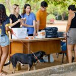 dia-d-de-vacinacao-antirrabica-leva-moradores-de-palmas-a-12-pontos-da-cidade