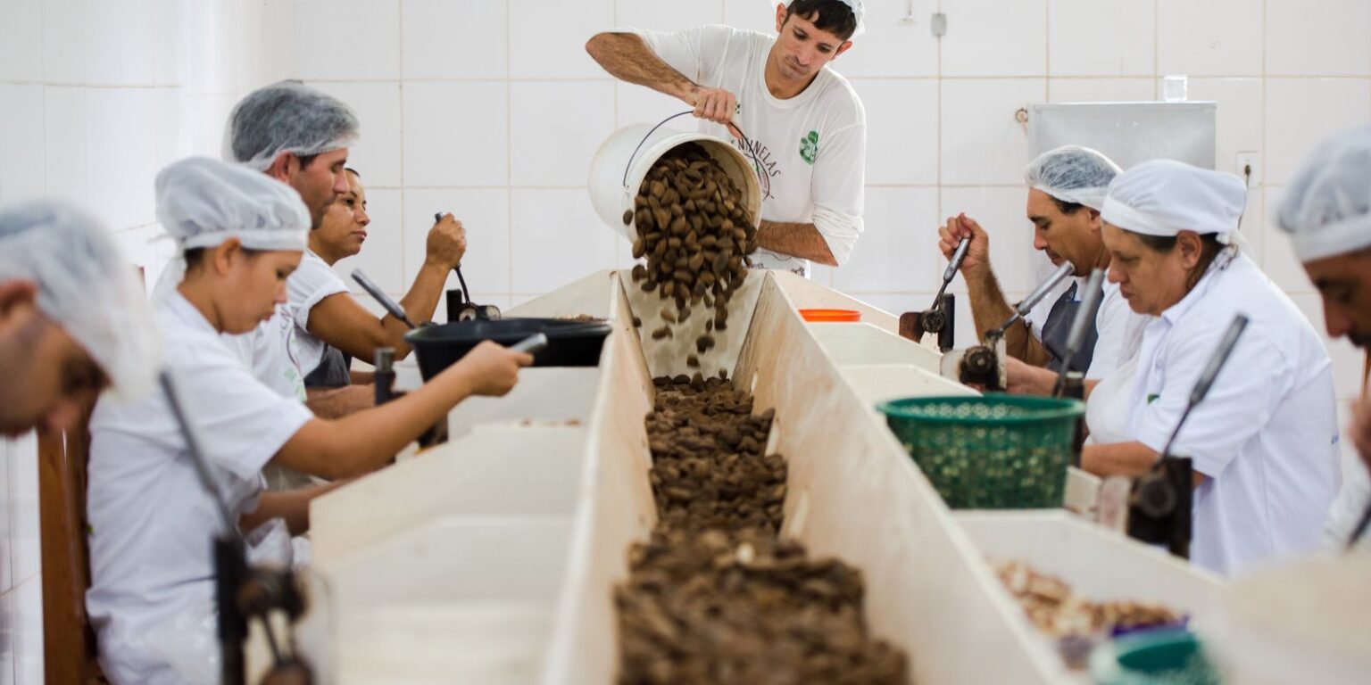 consulta-sobre-bens-sustentaveis-no-acordo-mercosul–ue-acaba-na-quarta