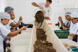 consulta-sobre-bens-sustentaveis-no-acordo-mercosul–ue-acaba-na-quarta