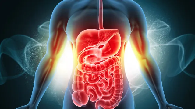 arroz-ou-macarrao?-medicos-revelam-qual-e-melhor-para-o-intestino