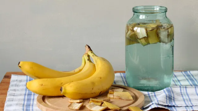 5-remedios-naturais-que-ajudam-a-aliviar-picadas-de-insetos