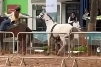 cavalo-desgovernado-e-controlado-por-menina-de-12-anos-no-rs