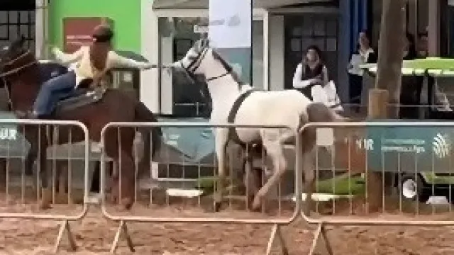 cavalo-desgovernado-e-controlado-por-menina-de-12-anos-no-rs