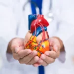 cardiologistas-destacam-alimento-que-pode-ajudar-a-proteger-o-coracao