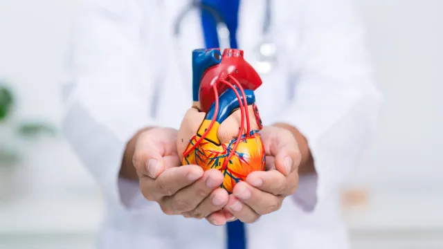 cardiologistas-destacam-alimento-que-pode-ajudar-a-proteger-o-coracao
