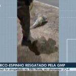 -to-de-03-de-setembro-de-…