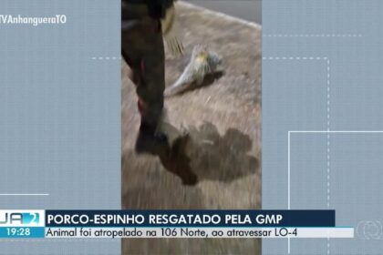 -to-de-03-de-setembro-de-…