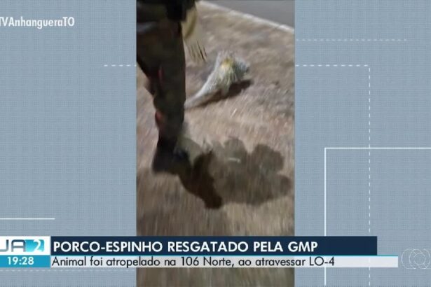 -to-de-03-de-setembro-de-…