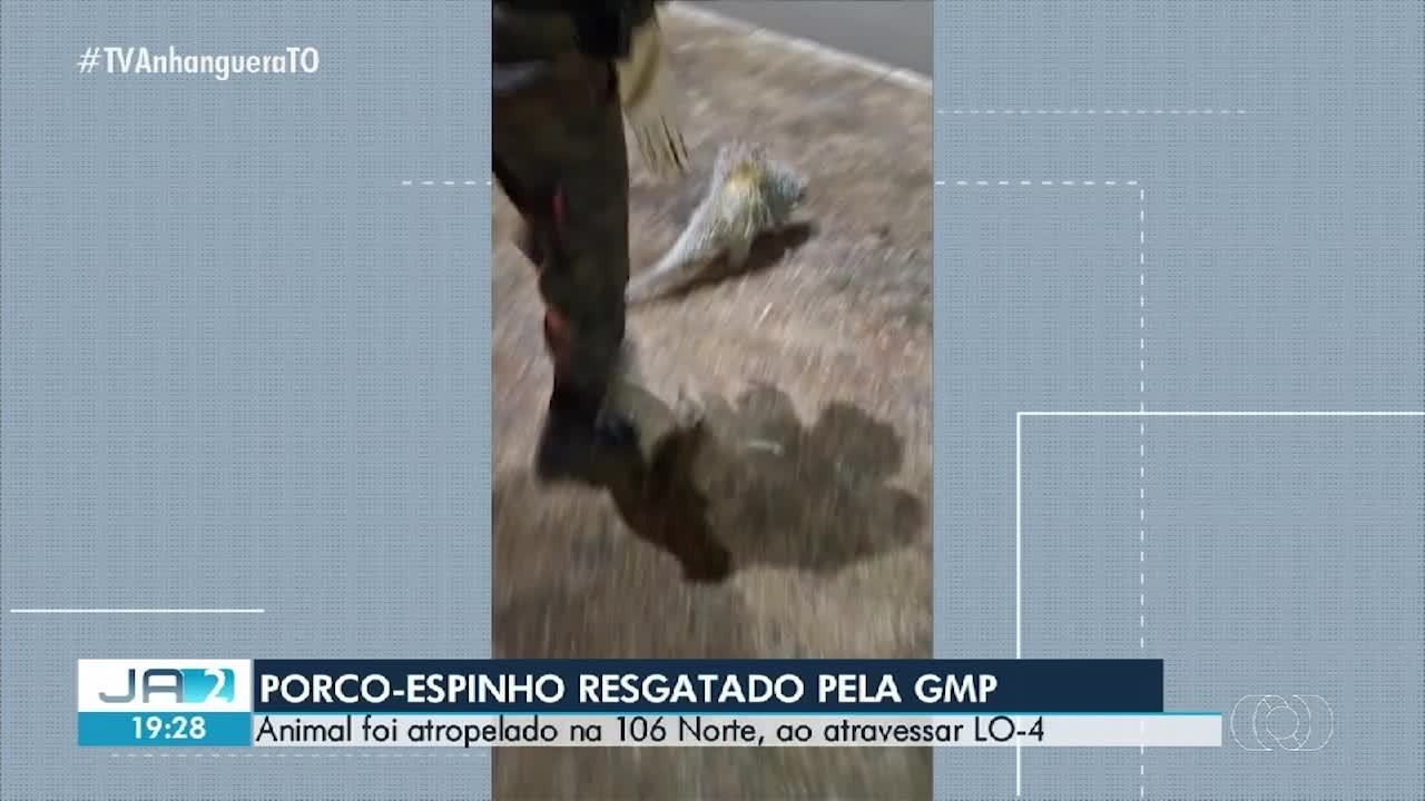 -to-de-03-de-setembro-de-…