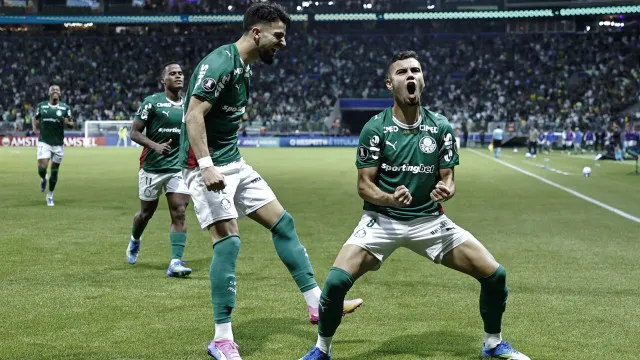 ameacado-pelo-flamengo,-palmeiras-visita-o-botafogo-no-rio-para-manter-lideranca
