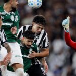 botafogo-segura-palmeiras-e-ajuda-flamengo,-novo-lider-do-brasileirao