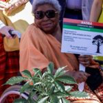 morre-zelia-amador-de-deus,-referencia-da-luta-antirracista-no-para