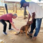 com-meta-de-imunizar-mais-de-11,9-mil-animais,-secretaria-de-saude-de-gurupi-inicia-vacinacao-antirrabica-pela-zona-rural