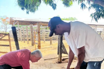 com-meta-de-imunizar-mais-de-11,9-mil-animais,-secretaria-de-saude-de-gurupi-inicia-vacinacao-antirrabica-pela-zona-rural