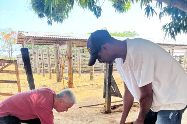 com-meta-de-imunizar-mais-de-11,9-mil-animais,-secretaria-de-saude-de-gurupi-inicia-vacinacao-antirrabica-pela-zona-rural