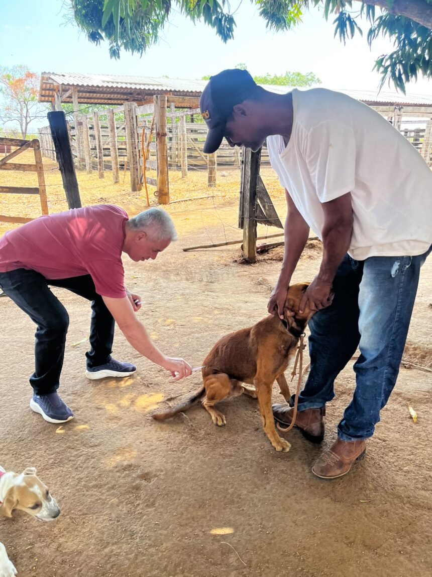com-meta-de-imunizar-mais-de-11,9-mil-animais,-secretaria-de-saude-de-gurupi-inicia-vacinacao-antirrabica-pela-zona-rural